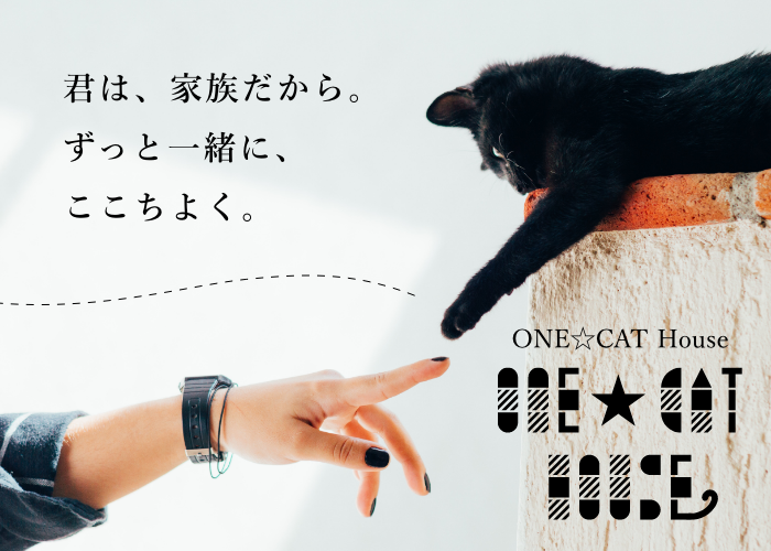 ONE☆CAT House