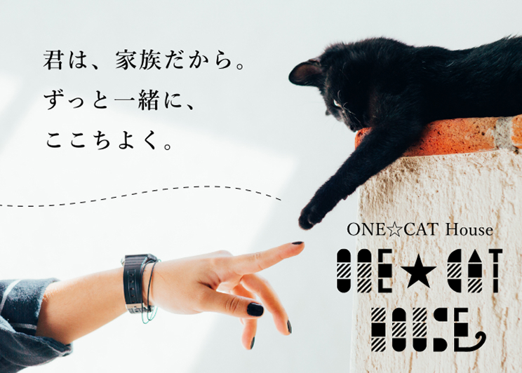 ピックアップ情報