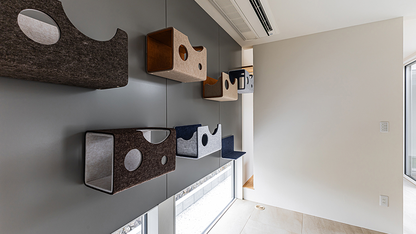 ONE★CAT House