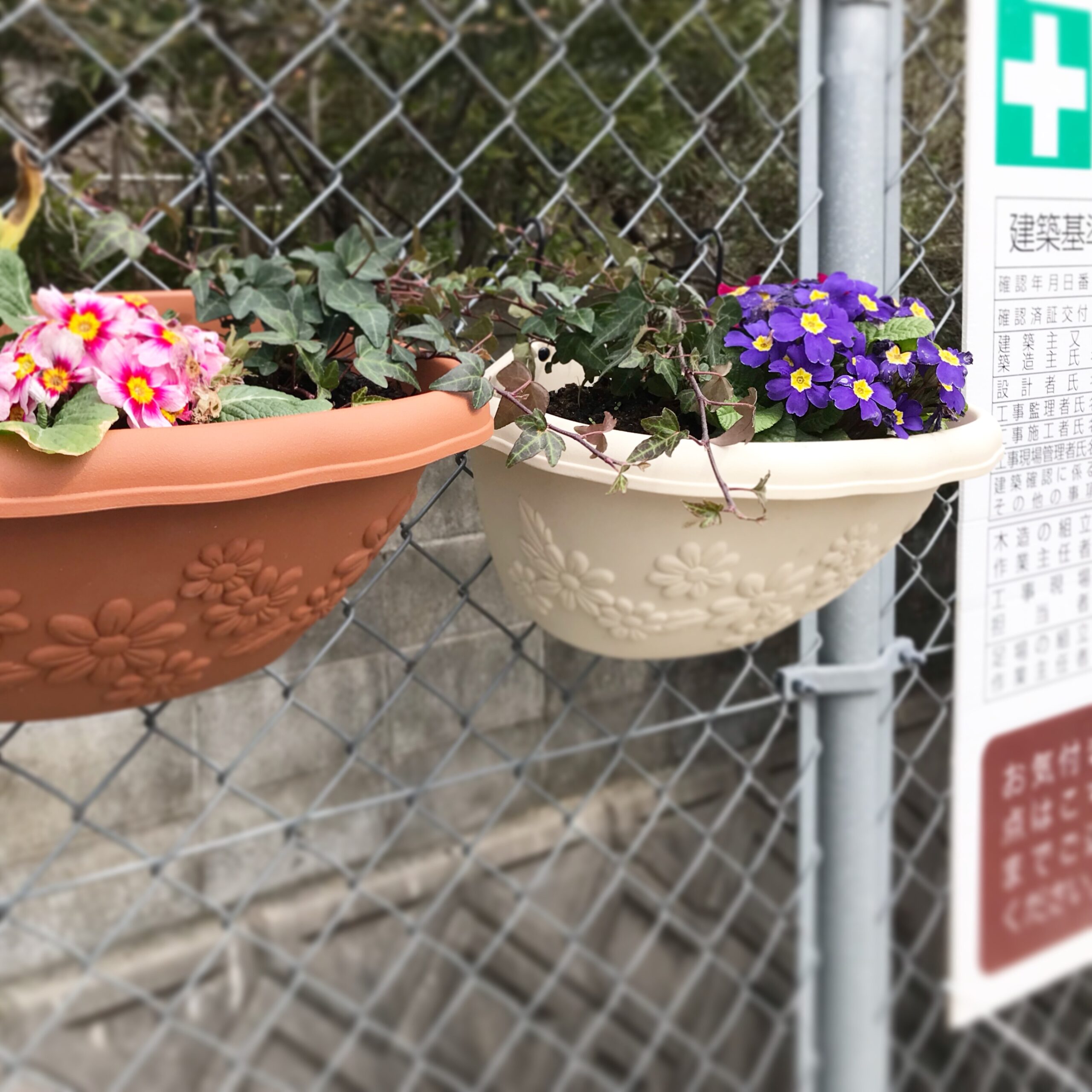 工事現場にお花を飾る