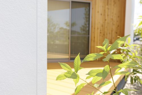 自然の風は地域によって吹く方向が違う！？