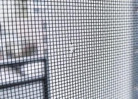 網戸の汚れ、放置していませんか？網戸の掃除の仕方教えます。