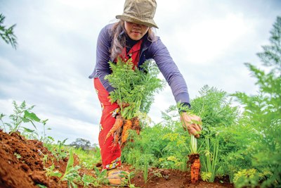 「家庭菜園」は初心者でもできる！子どもと一緒に野菜を育てよう！