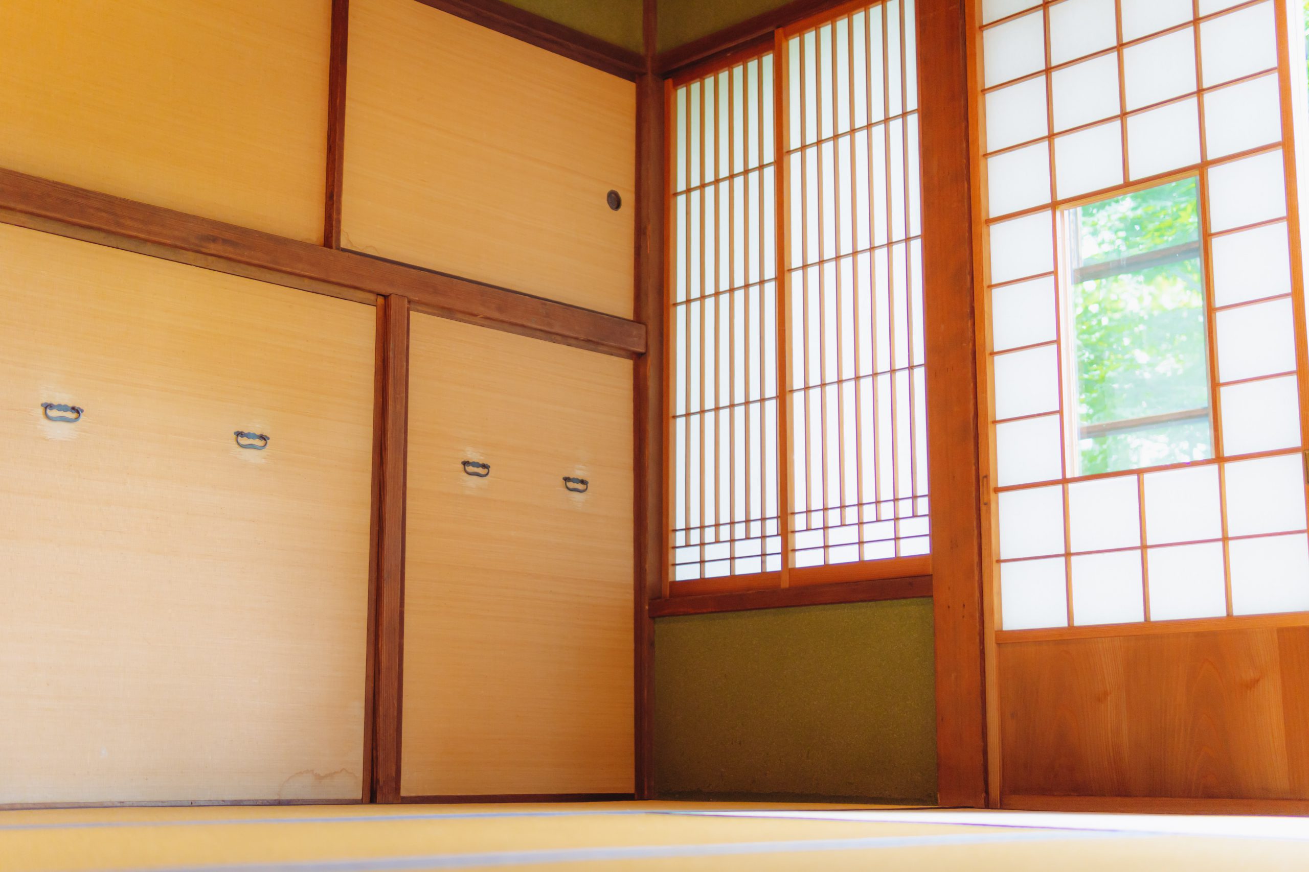 畳のカビ対策はどうすればいい？和室をきれいに保つ方法を解説
