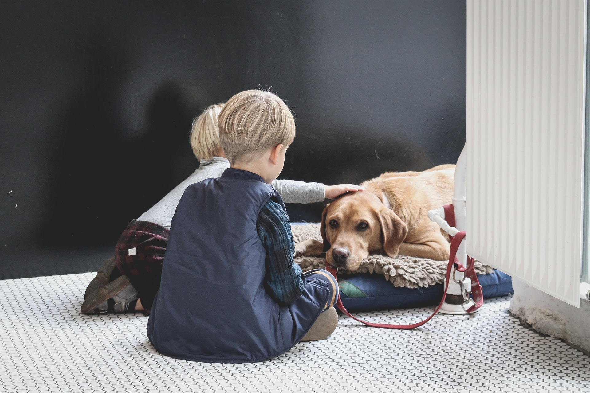 人にとっても犬にとっても快適な生活ができる家
