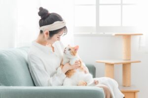 ソファでくつろぐ猫と女性