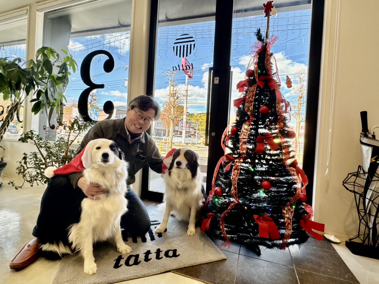 tattaのイルミネーションが今年もスタートしました！