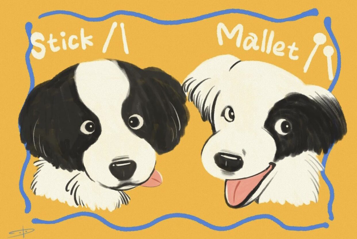 🐶 ワン社員紹介｜スティック＆マレット
