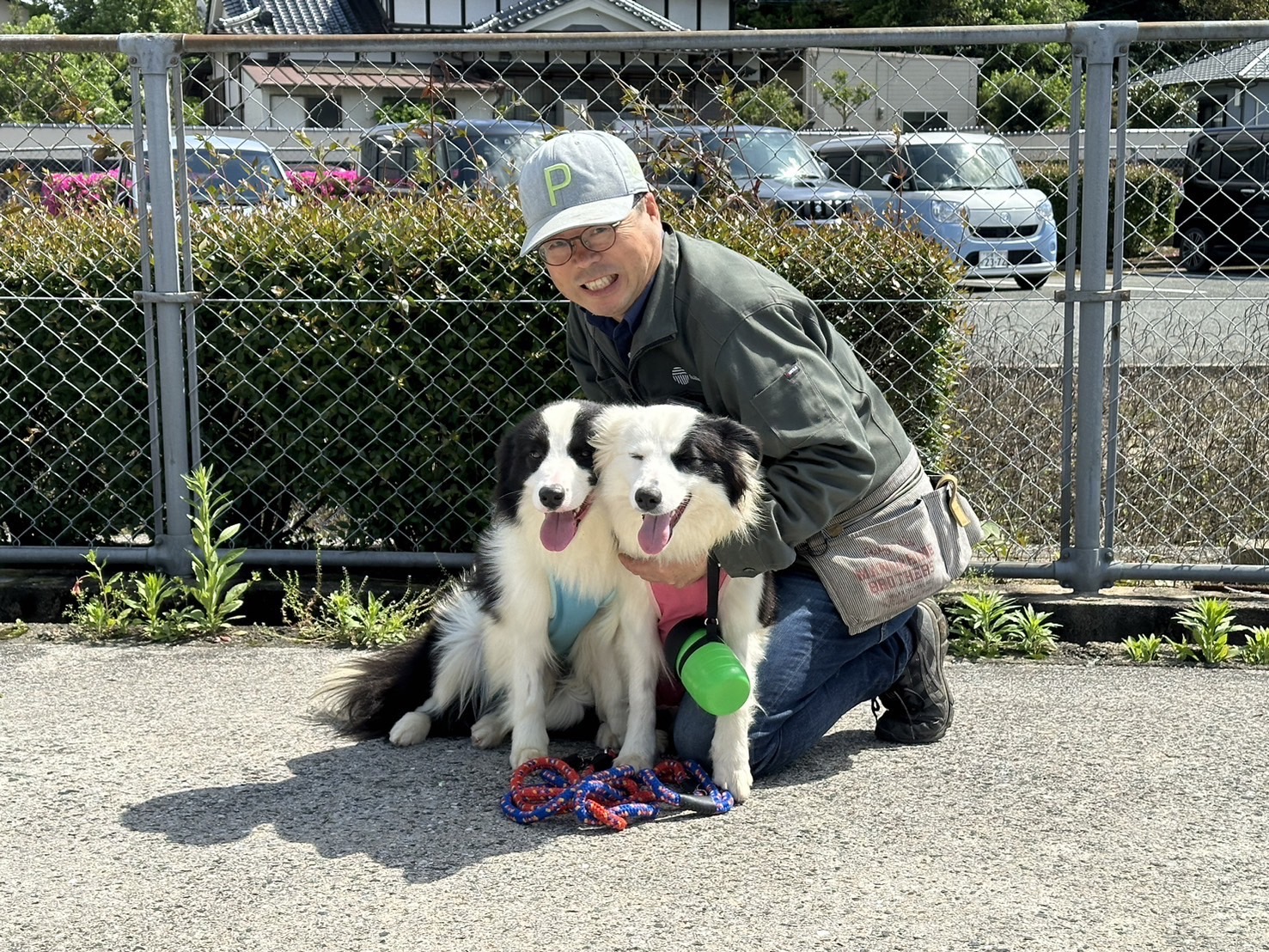 tattaのワン社員、トリミングに行ってきました