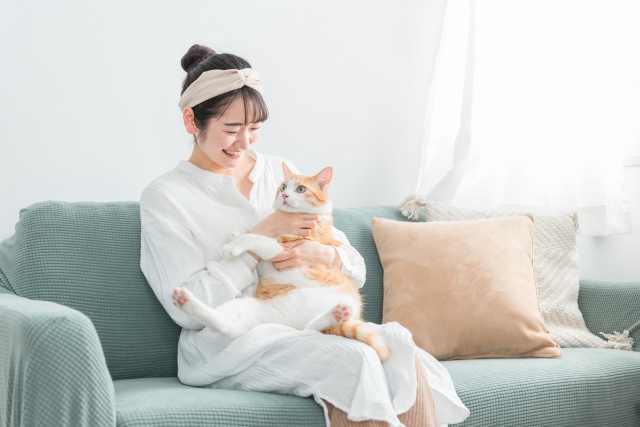 新築戸建てでペットと暮らす。後悔しない家づくりの全知識｜愛犬・愛猫と家族が幸せになる間取り・建材・費用を徹底解説