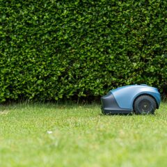 遠目から見たロボット芝刈り機